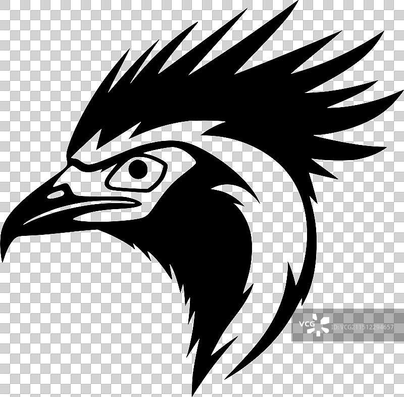 黑白秃鹫图片素材