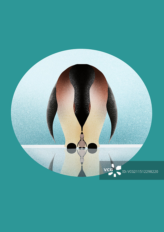 企鹅插画图片素材