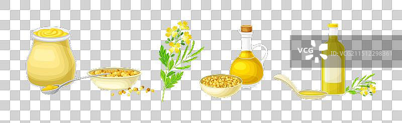 芥菜植物与种子和黄花图片素材
