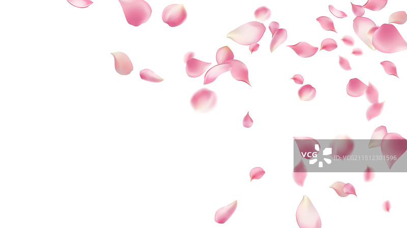 玫瑰花瓣或樱花飞舞的浪漫花瓣图片素材