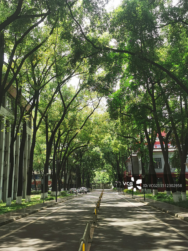 四川大学望江校区图片素材