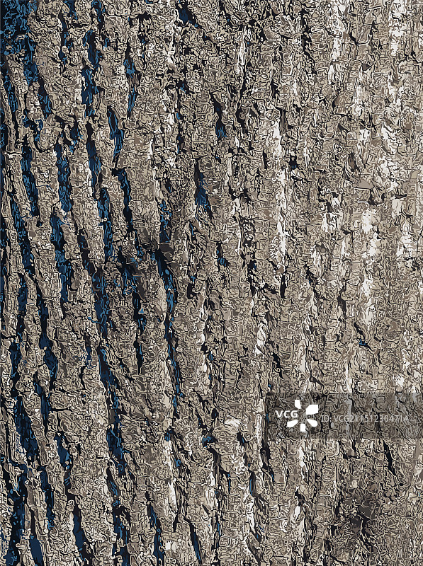 鹅掌楸树皮图片素材