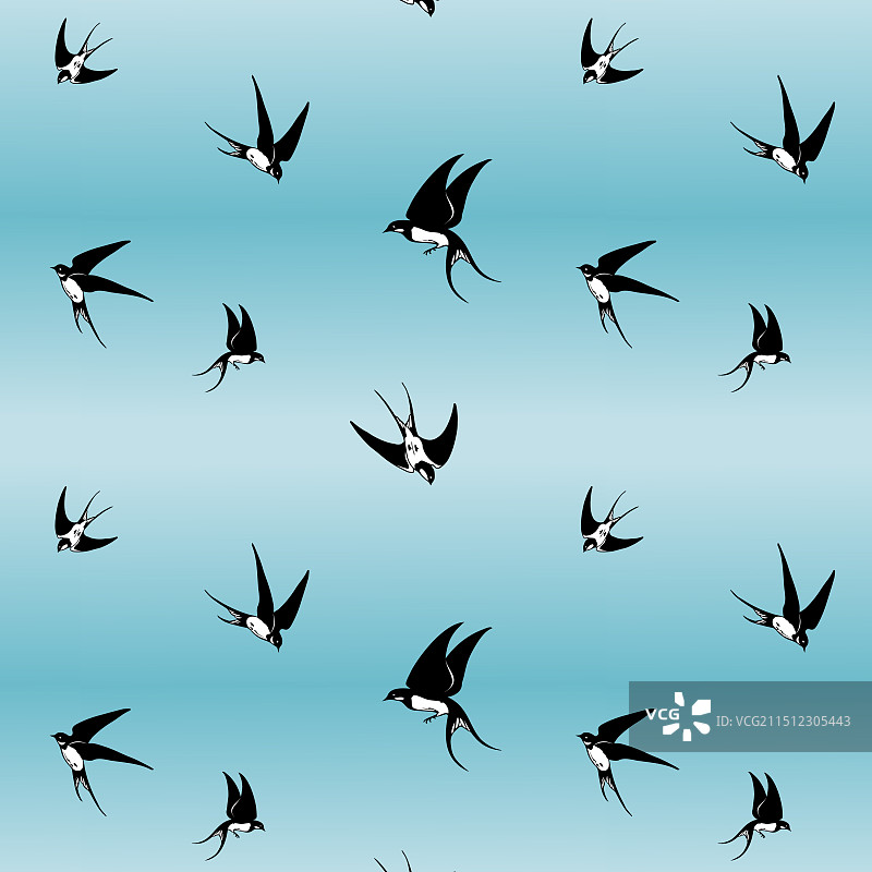 蓝天中的燕子图片素材