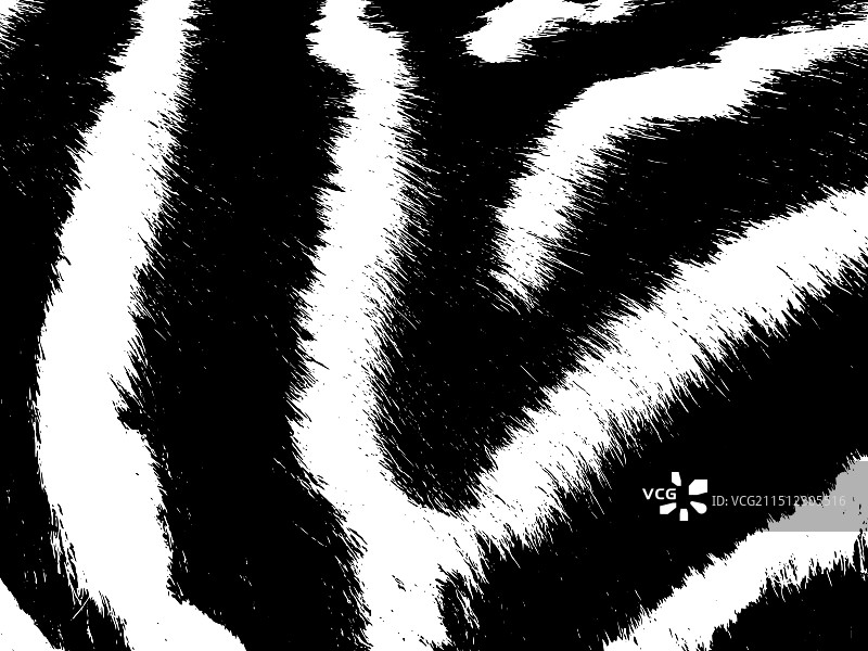 单色斑马或老虎皮毛背景图片素材