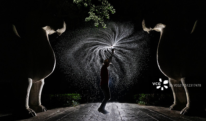 水烟花+南京咱孝陵石象路图片素材