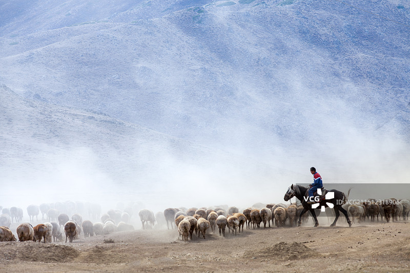 烟尘滚滚的古牧道-拍摄于新疆哈巴河县秋季转场图片素材