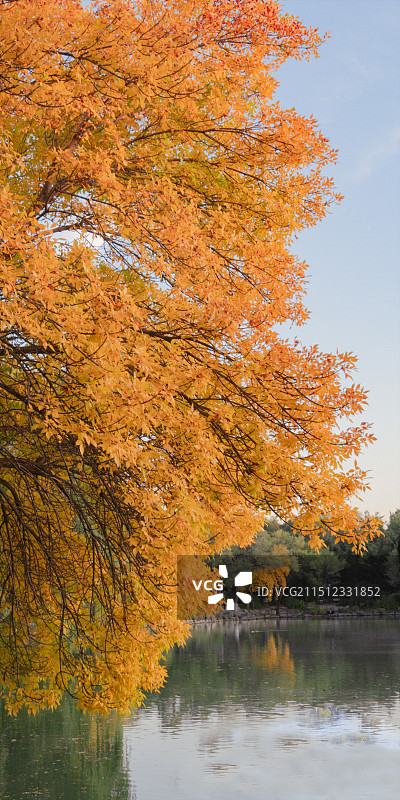 未名湖秋天风景图片素材