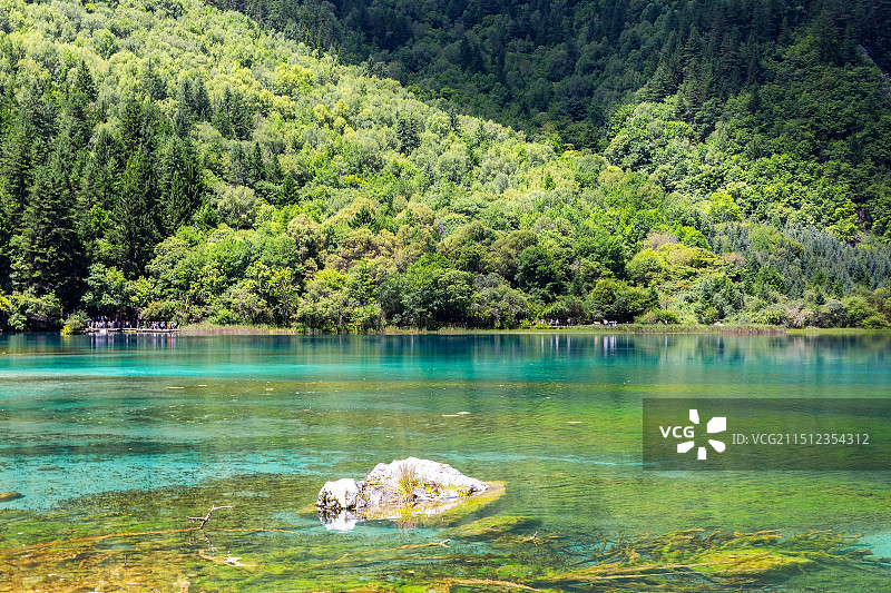 九寨沟五花海八月风光图片素材