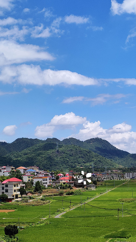 农业田顶天景观图片素材