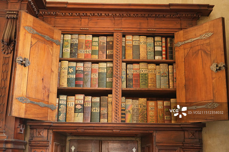 捷克布拉格城堡旧皇宫，壁画徽章，世界文化遗产，皇冠王座舞厅，广场许愿池，欧洲石建筑图片素材