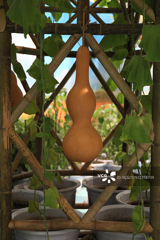 小汤山现代农业示范园图片素材