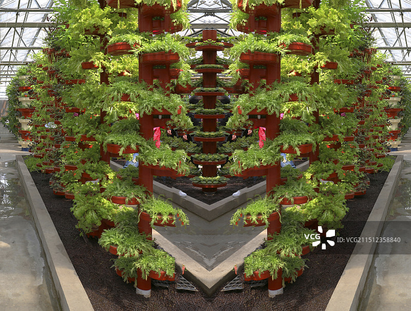 小汤山现代农业示范园图片素材