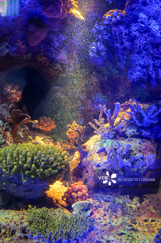 上海海洋水族馆图片素材