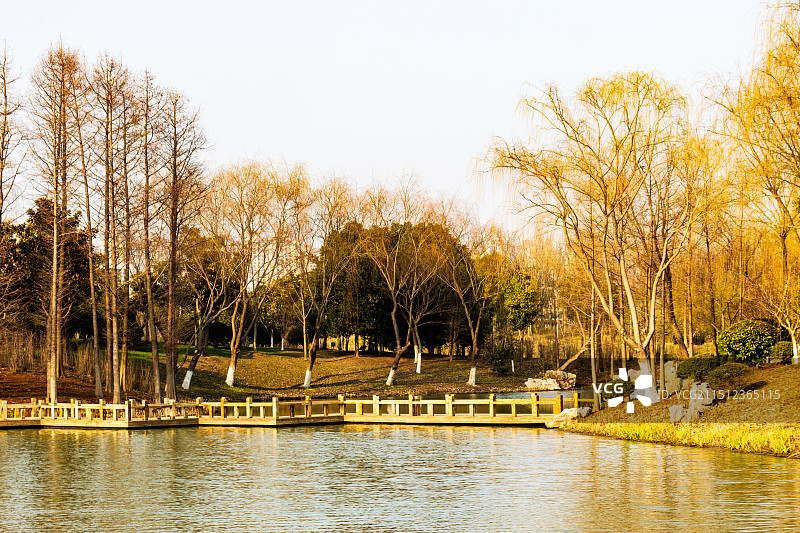 啬园玉兰湖冬日风光图片素材