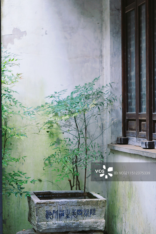 惠山古镇的夏日慵懒午后一隅盆景图片素材