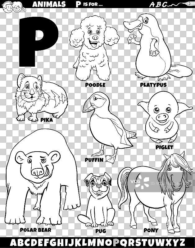 字母p教育卡通动物角色图片素材