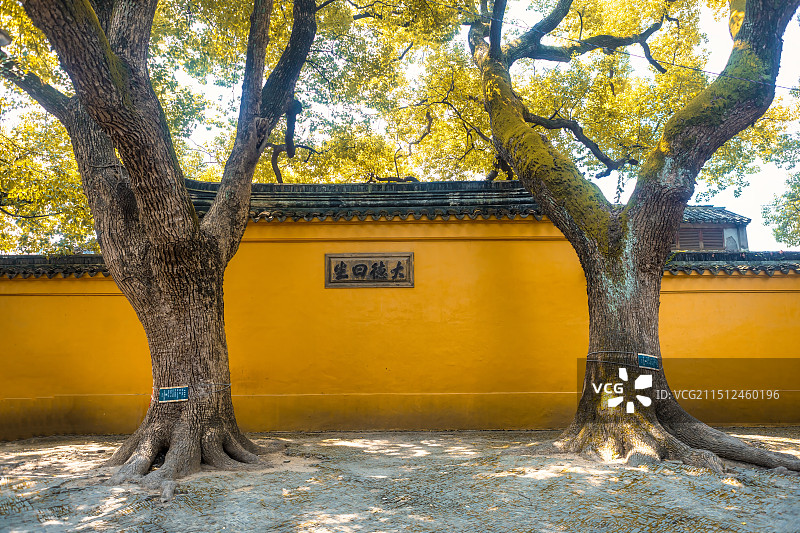 江苏省苏州西园寺的秋天景色图片素材