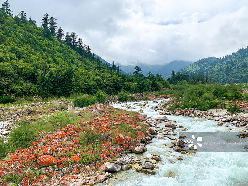 偶遇了红石滩与溪流图片素材