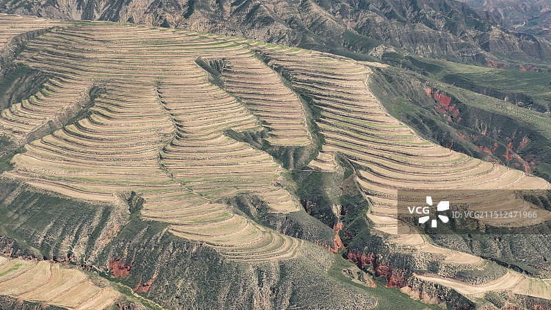 五彩斑斓的梯田-固原市西吉县后埫村图片素材