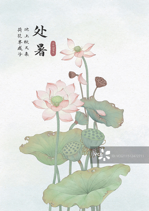 国风处暑节气插画图片素材