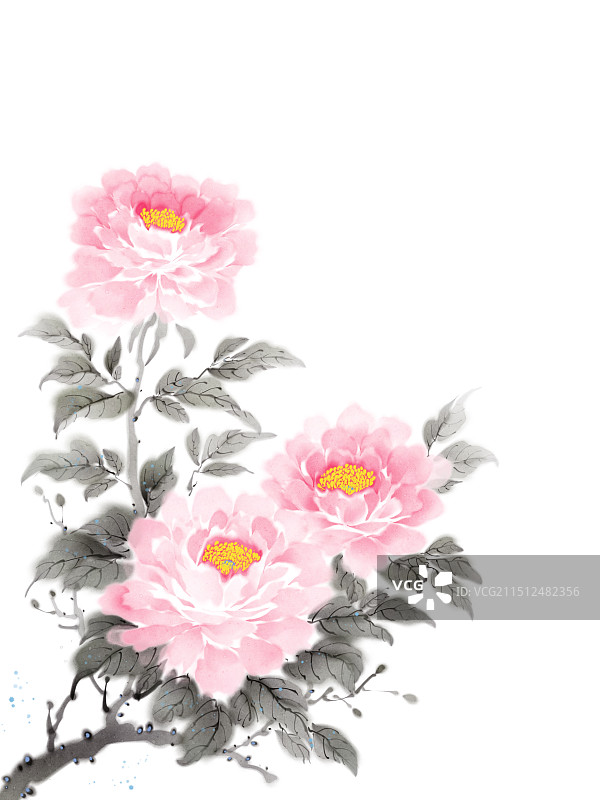 中国画水墨画粉红色牡丹花图片素材