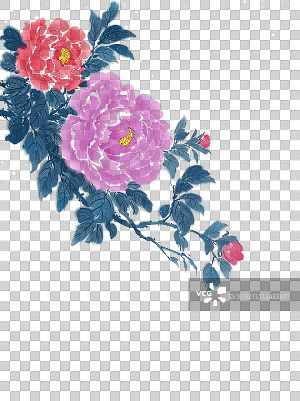 中国画水墨画牡丹花粉红色开花植物仰天俯视图片素材