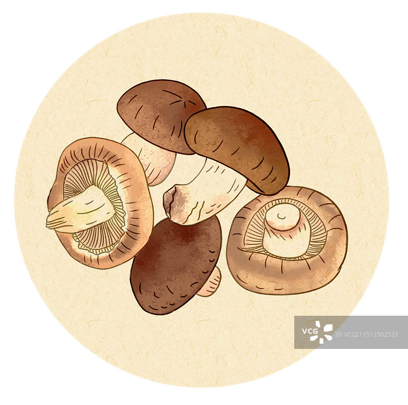 手绘香菇插画图片素材