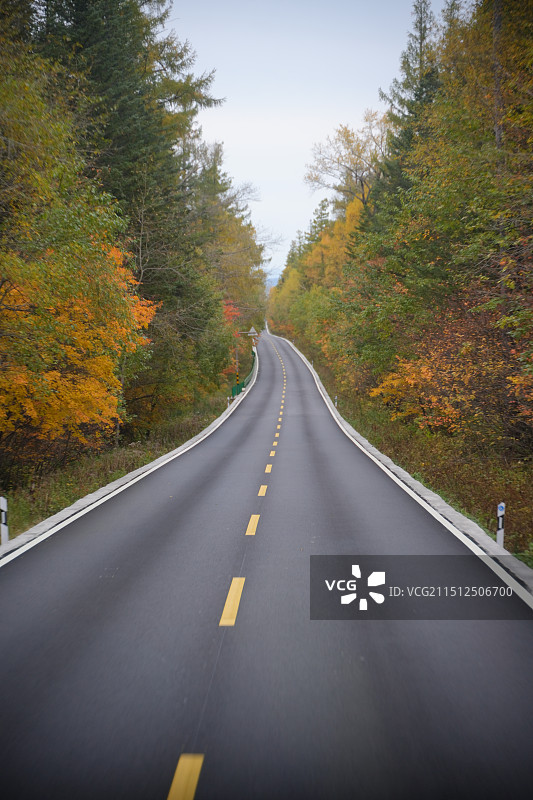 初秋的笔直公路图片素材
