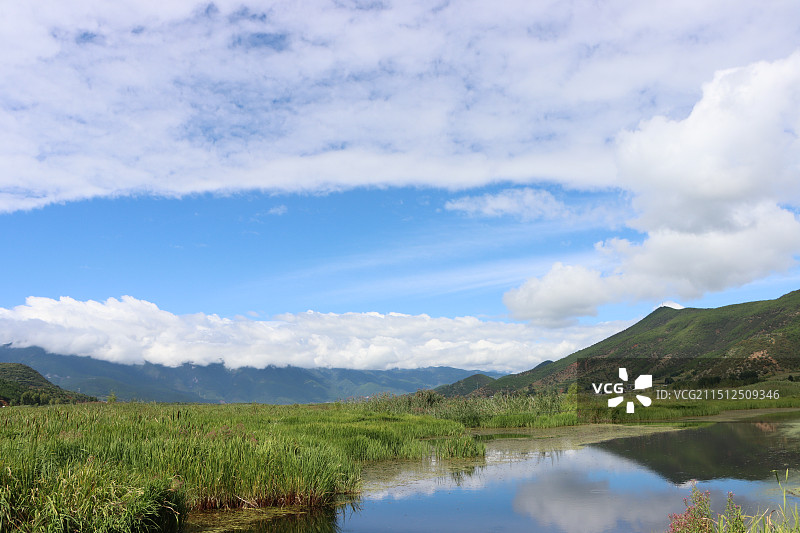 IMG_4265图片素材