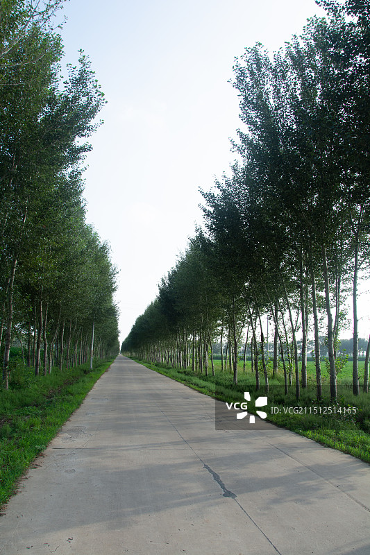 中国北方平原新农村水泥路图片素材