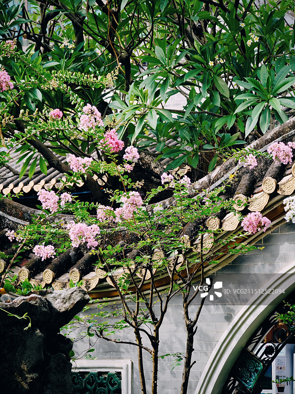 岭南园林内的建筑与绿植图片素材