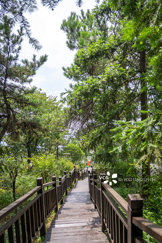 湖北孝感双峰山景区悬崖边的迎客松和大好河山水墨画图片素材