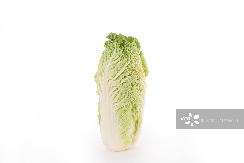大白菜图片素材
