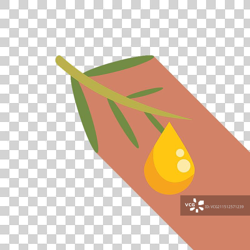 从树枝上滴落的茶树精油图片素材