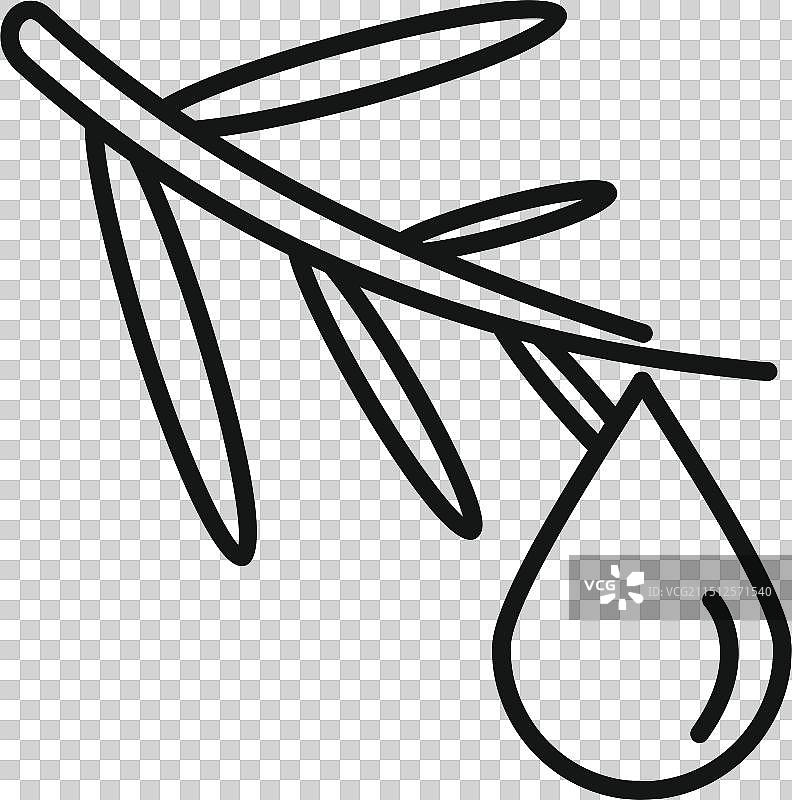 滴橄榄油的橄榄枝图标图片素材