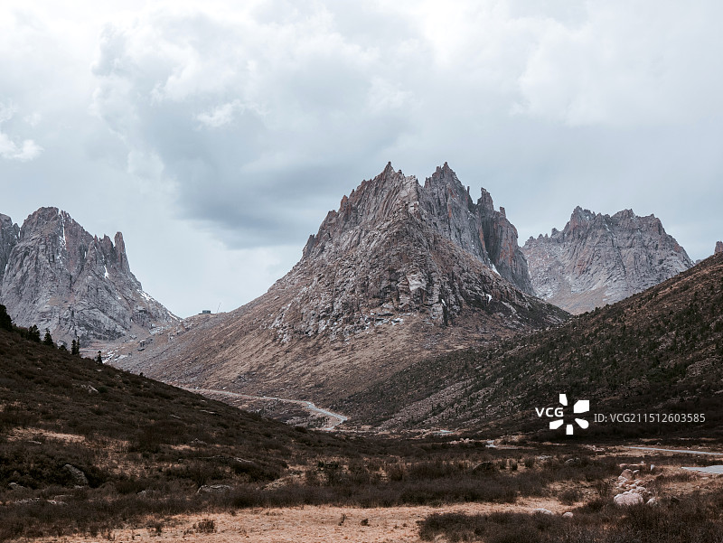 莲宝叶则图片素材