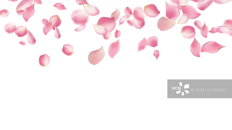 粉色玫瑰花瓣飘落在抽象花卉上图片素材