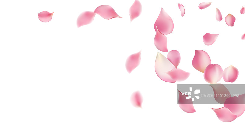 玫瑰花瓣或樱花飞舞的浪漫花瓣图片素材
