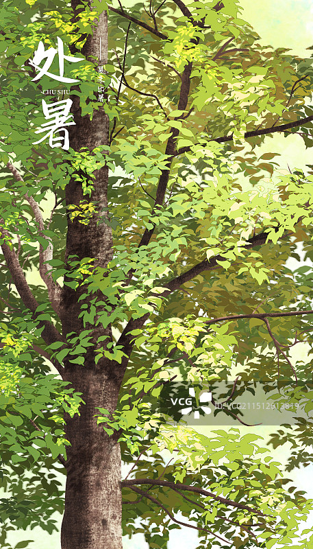 二十四节气之处暑图片素材