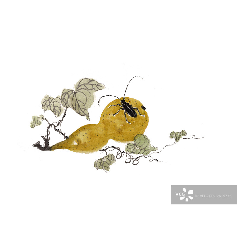 唯美手绘插画葫芦天牛图片素材