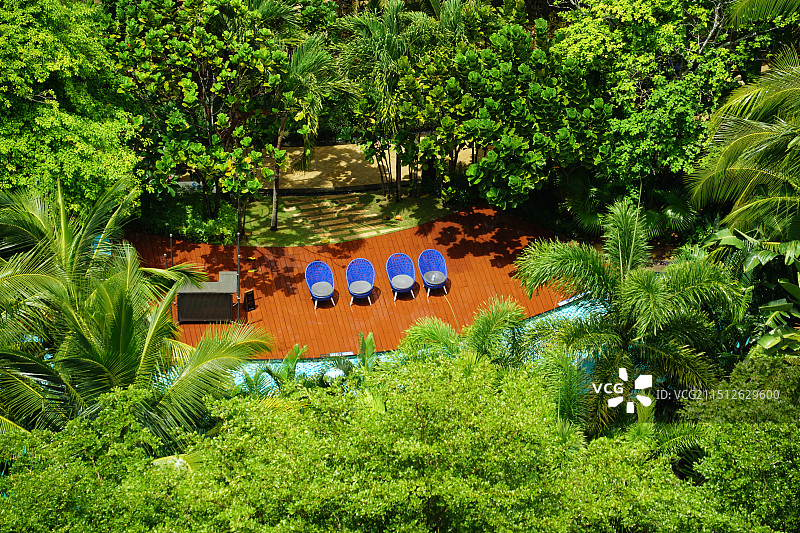 树林里的泳池和躺椅图片素材