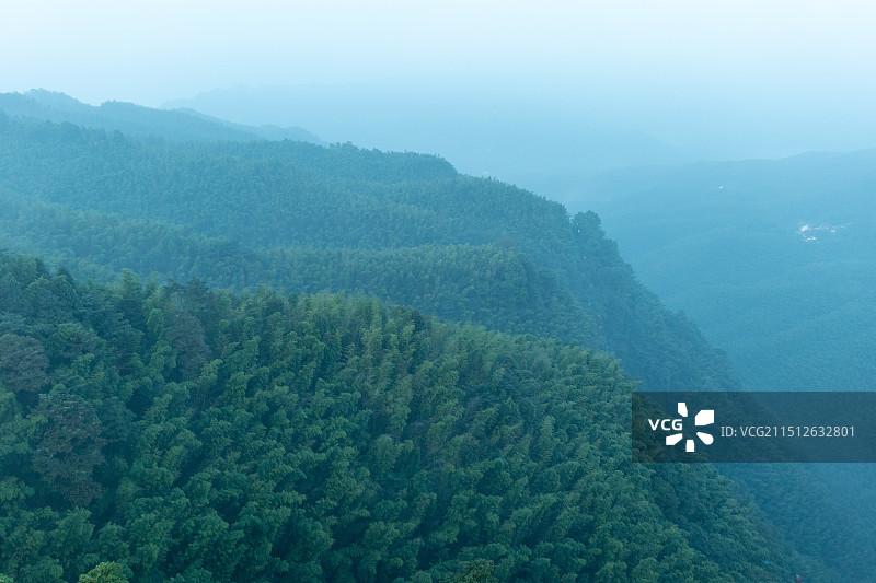 中国四川宜宾长宁县蜀南竹海观海楼，清晨山谷间竹林森林风景图片素材