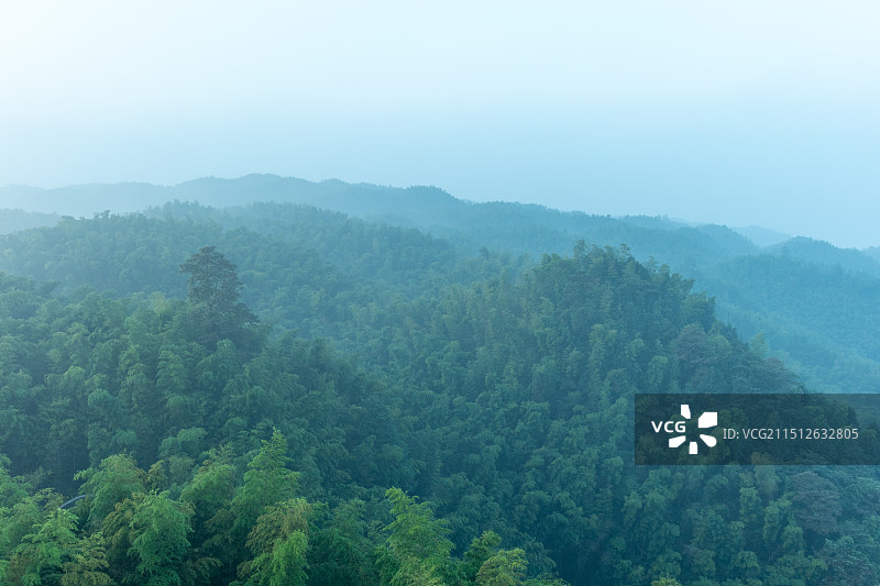 中国四川宜宾长宁县蜀南竹海观海楼，清晨山谷间竹林森林风景图片素材