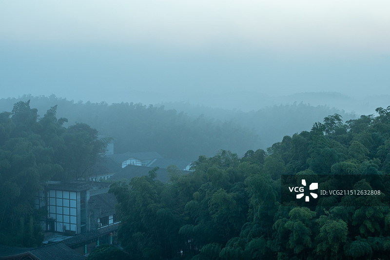 中国四川宜宾长宁县蜀南竹海观海楼，清晨山谷间竹林森林风景图片素材