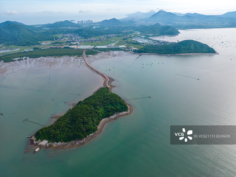 广东省阳江市海陵岛东岛红树林风光图片素材