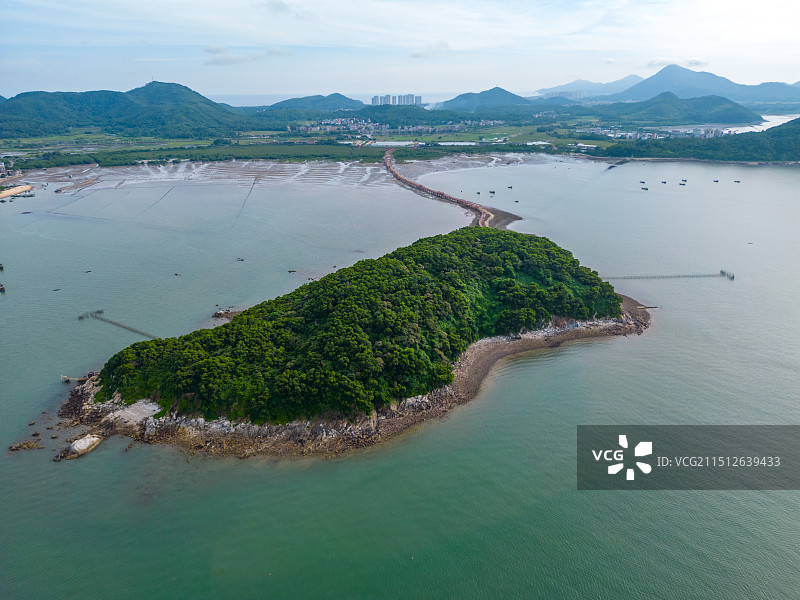 广东省阳江市海陵岛东岛红树林风光图片素材