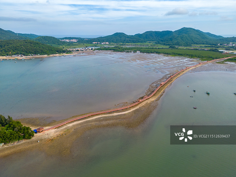 广东省阳江市海陵岛东岛红树林风光图片素材