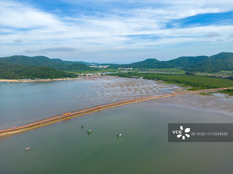 广东省阳江市海陵岛东岛红树林风光图片素材
