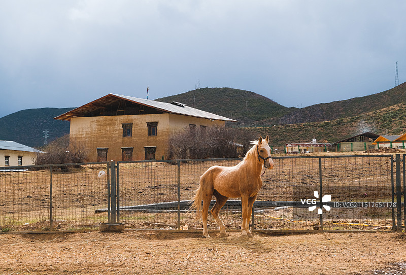 香格里拉的马场图片素材