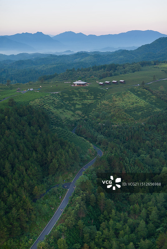 皖南高山茶场图片素材